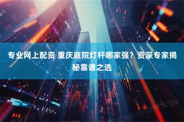 专业网上配资 重庆庭院灯杆哪家强？资深专家揭秘靠谱之选